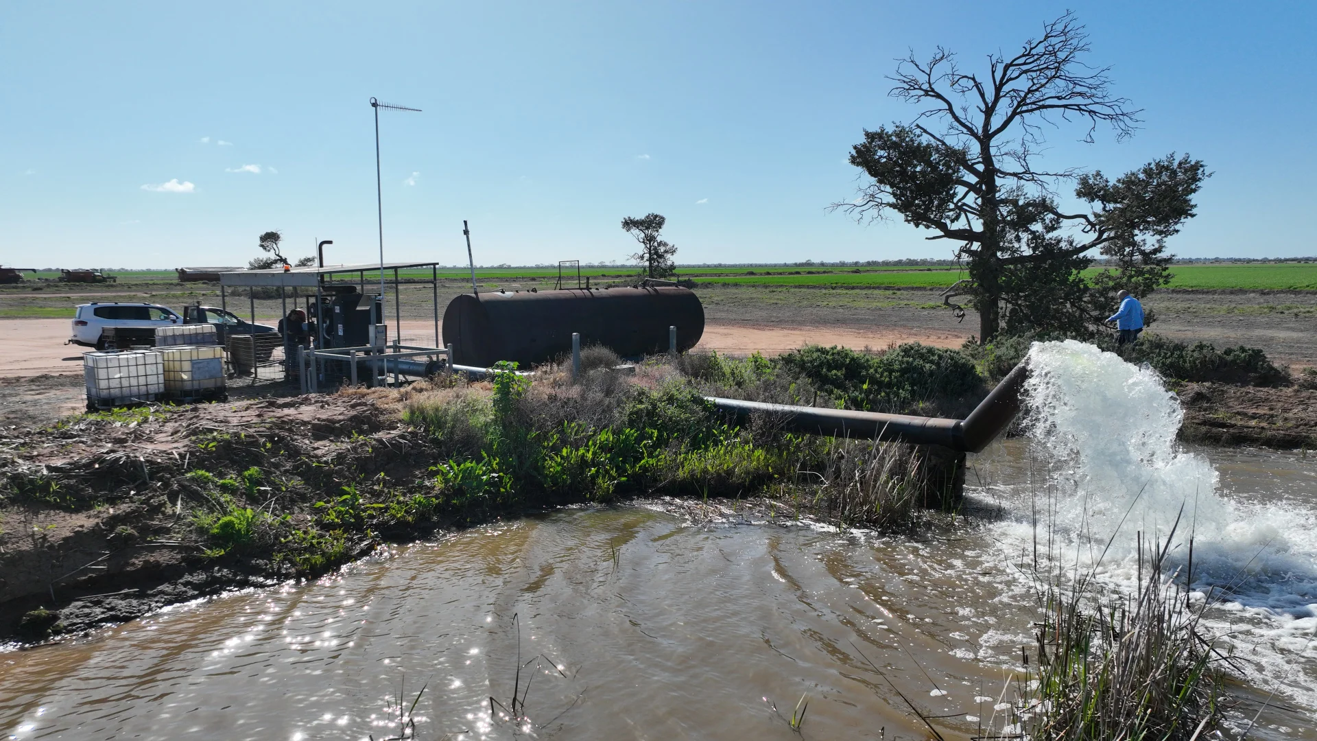 Additional image 6 of "Waringah" Mabins Well Road, Conargo NSW 2710