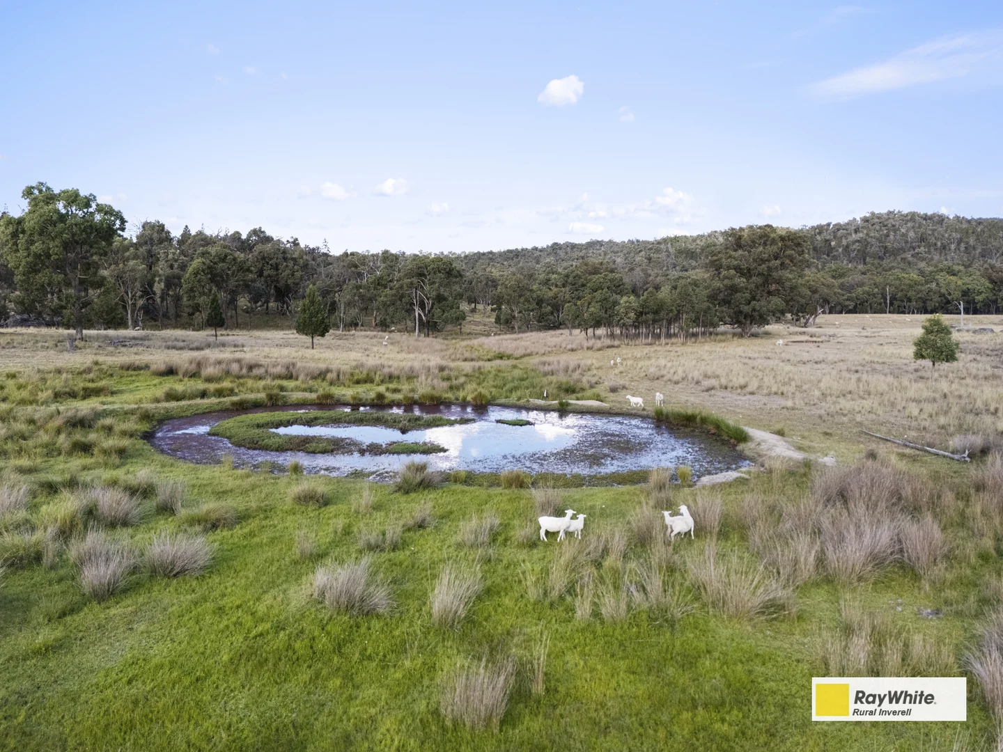 Additional image 51 of 2720 Bingara Road, Bundarra NSW 2359