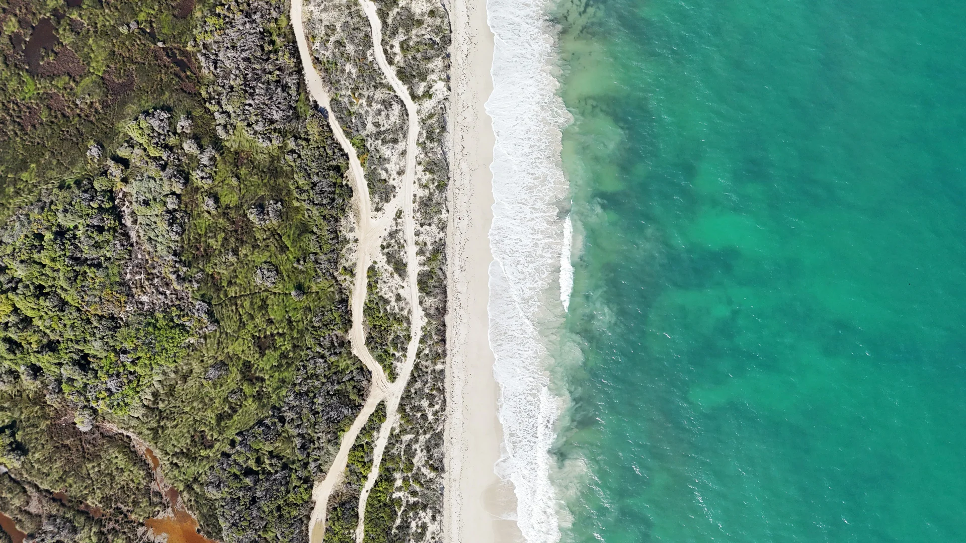 Additional image 8 of 183 Sailfish Way, Jurien Bay WA 6516