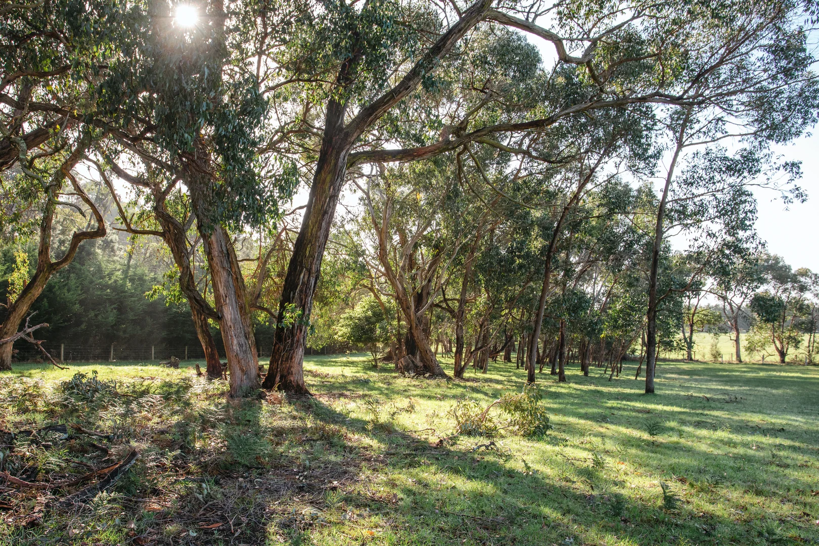 Additional image 23 of 67 Bittern-Dromana Road, Balnarring VIC 3926
