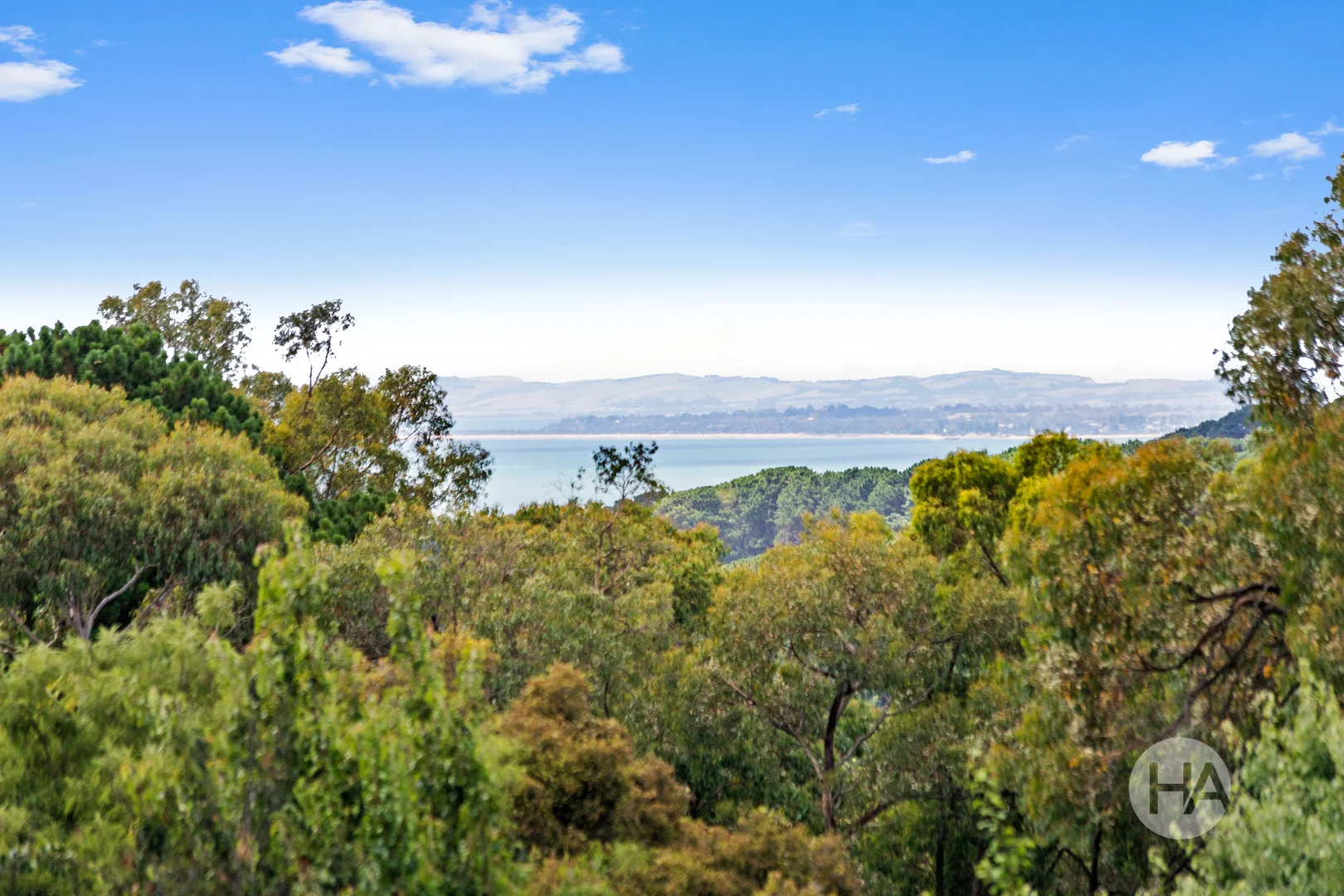 Additional image 22 of 125 Red Hill Road, Red Hill South VIC 3937