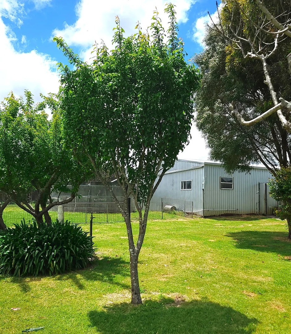 Additional image 31 of 38491 South Western Highway, Broke WA 6398