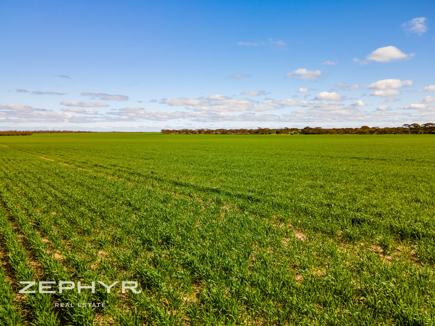 Additional image 20 of 885 Brennand Road, South Yilgarn WA 6426