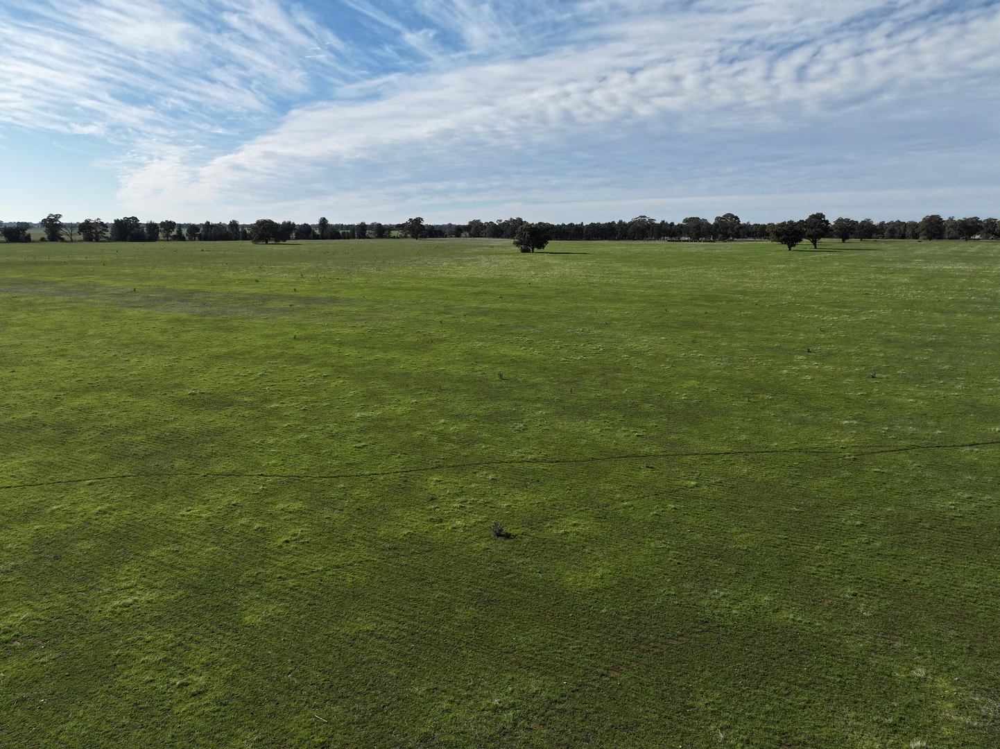 Additional image 22 of Berrigan Oaklands Road, Berrigan NSW 2712