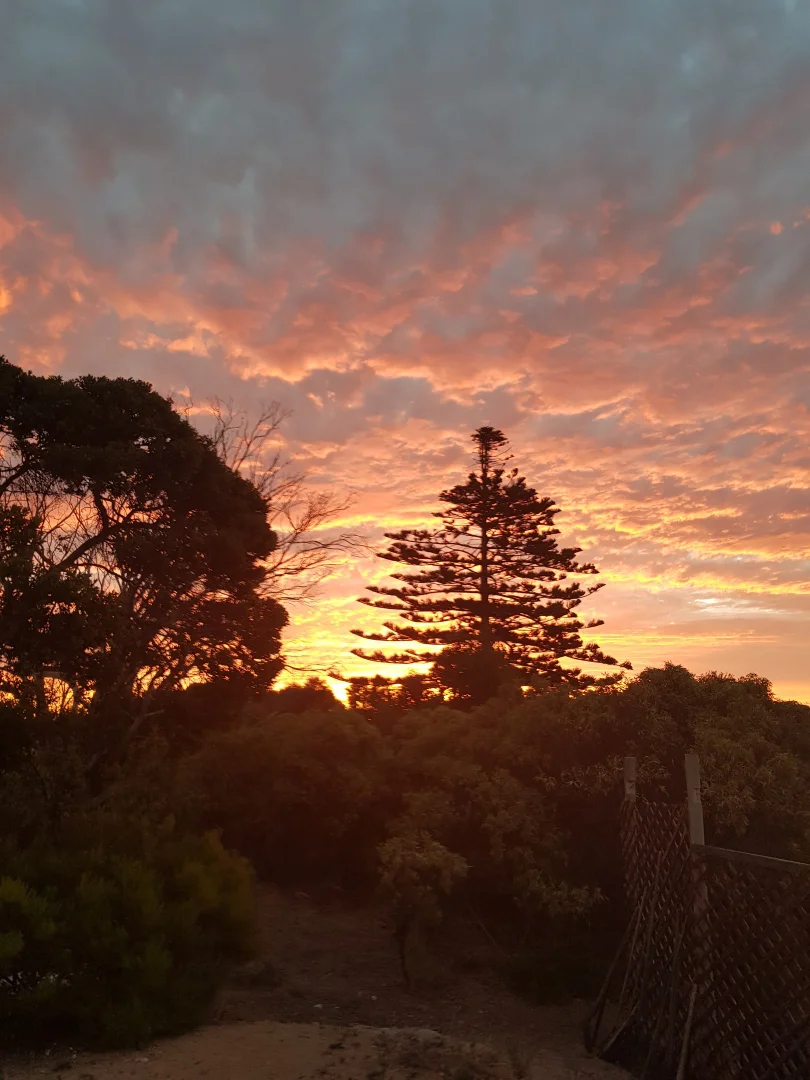 Additional image 32 of 17445 Yorke Hwy, Marion Bay SA 5575