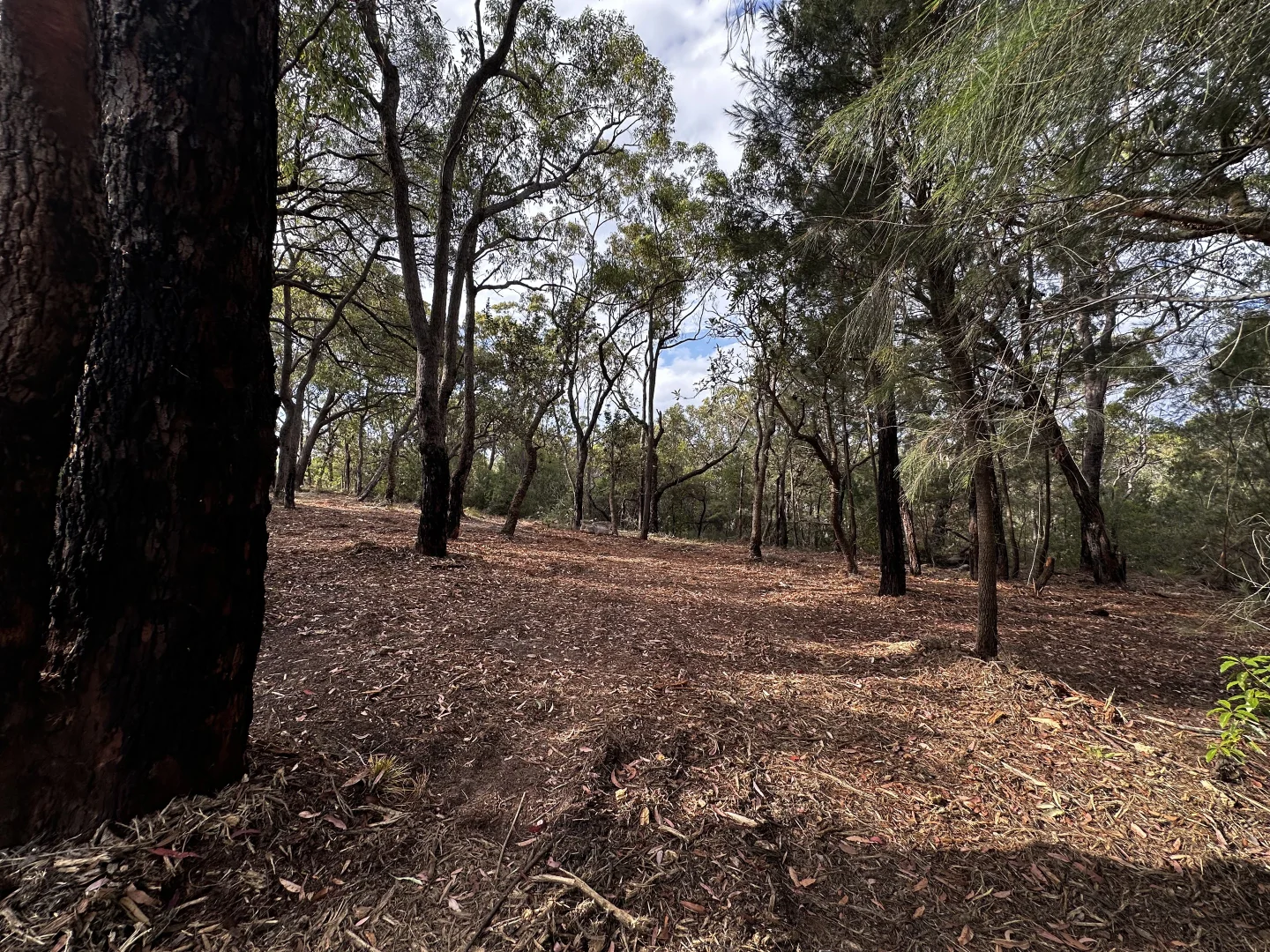 Additional image 4 of 277 Galston Road, Galston NSW 2159