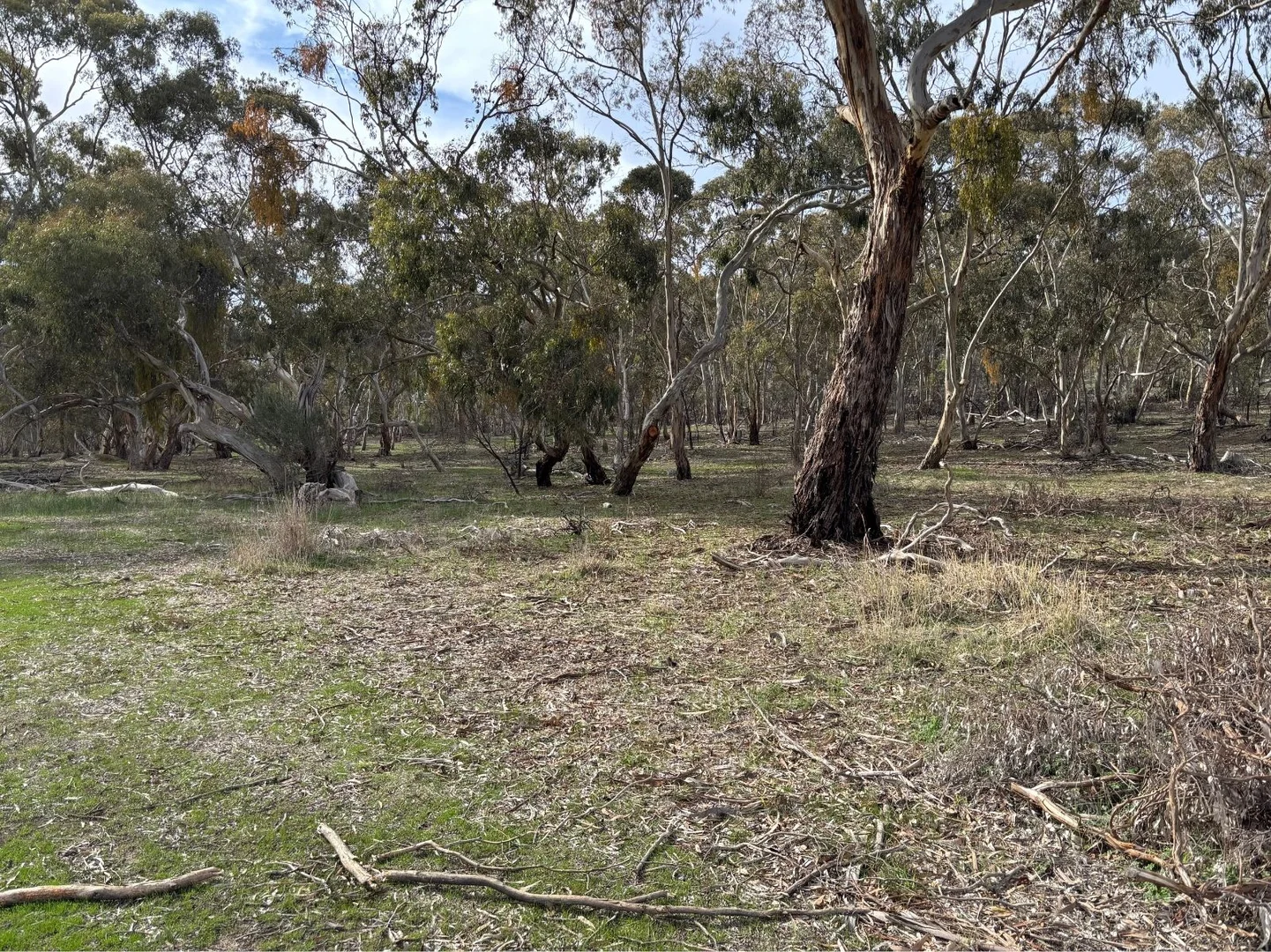 Additional image 4 of 102 Sawmill Road, Sevenhill SA 5453