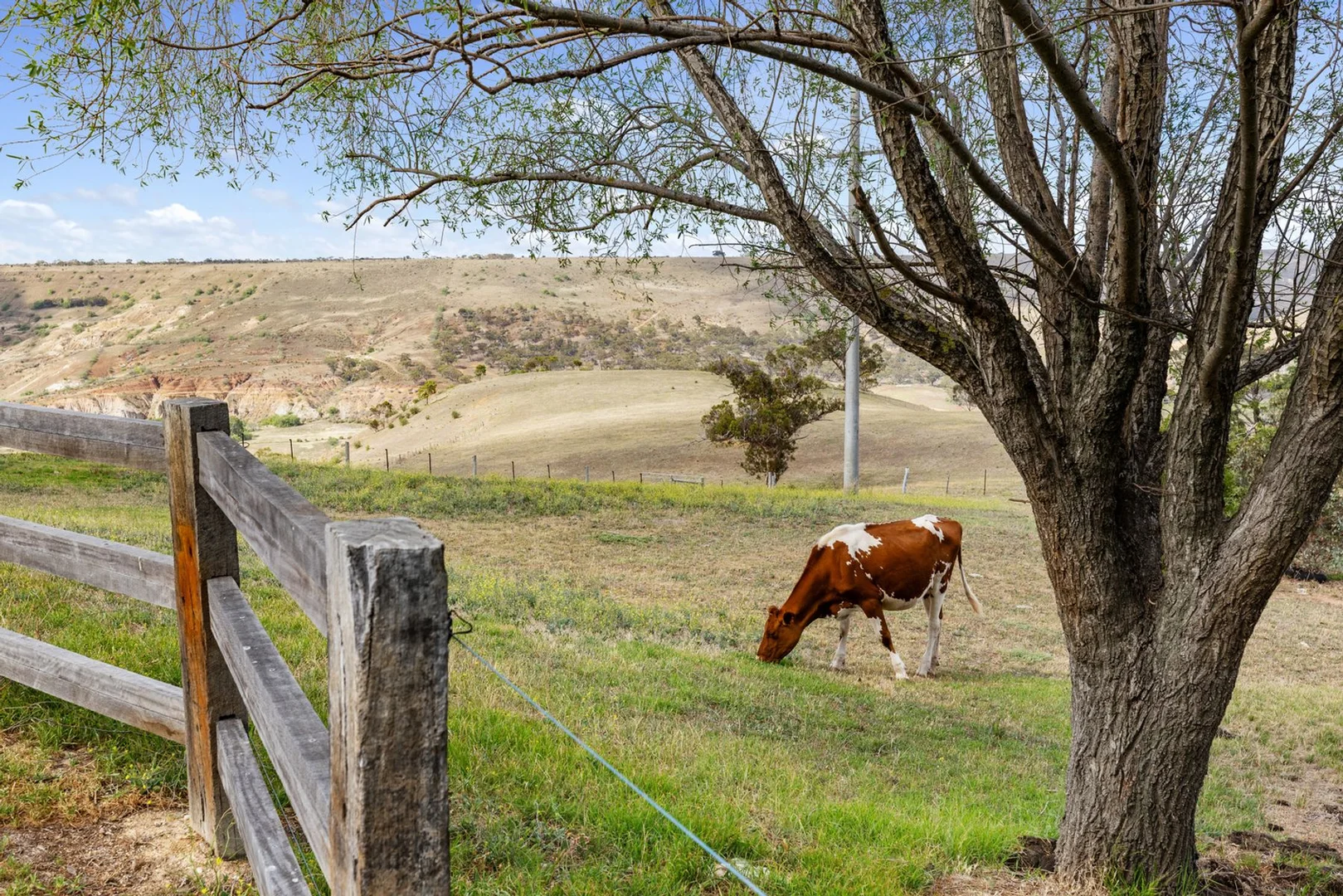 Additional image 40 of 36 Dicksons Road, Pentland Hills VIC 3341