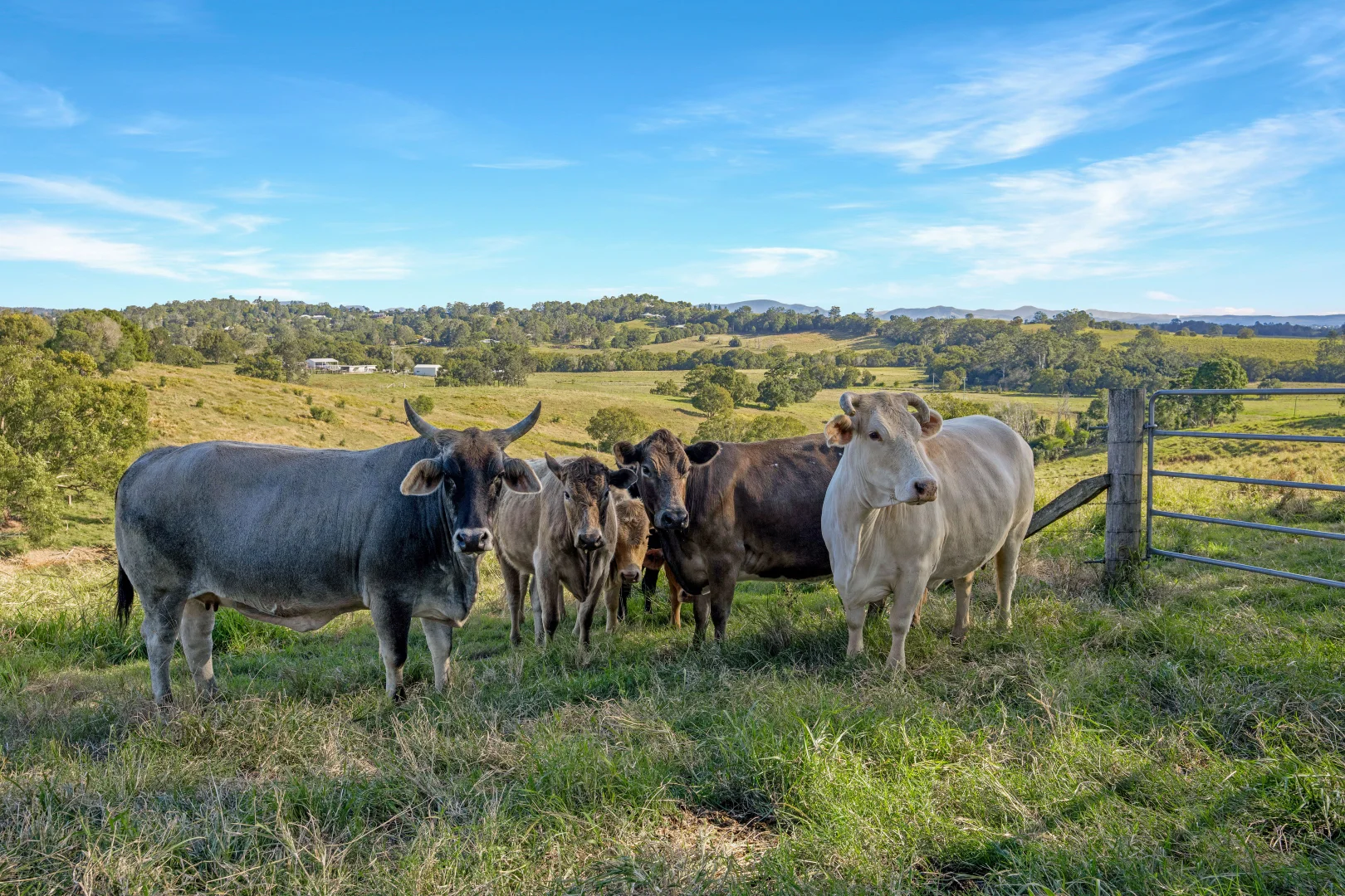 Additional image 30 of 92 Cavanagh Road, Greens Creek QLD 4570
