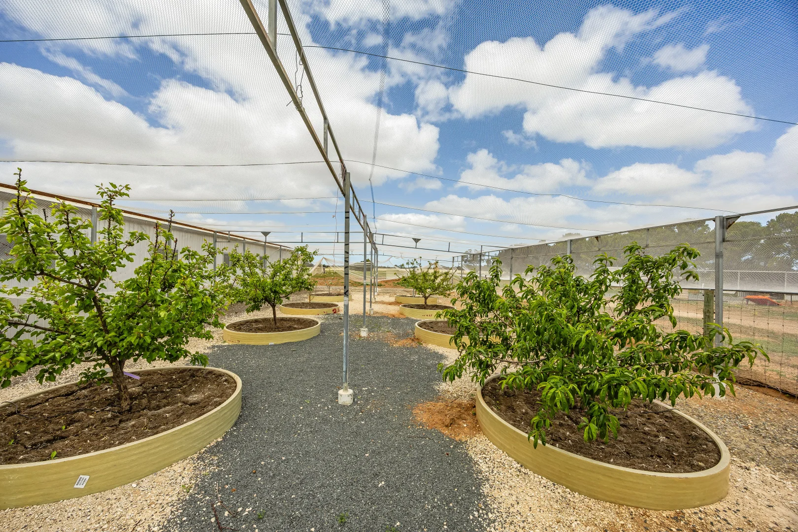 Additional image 72 of 726 Langhorne Creek Road, Belvidere SA 5255