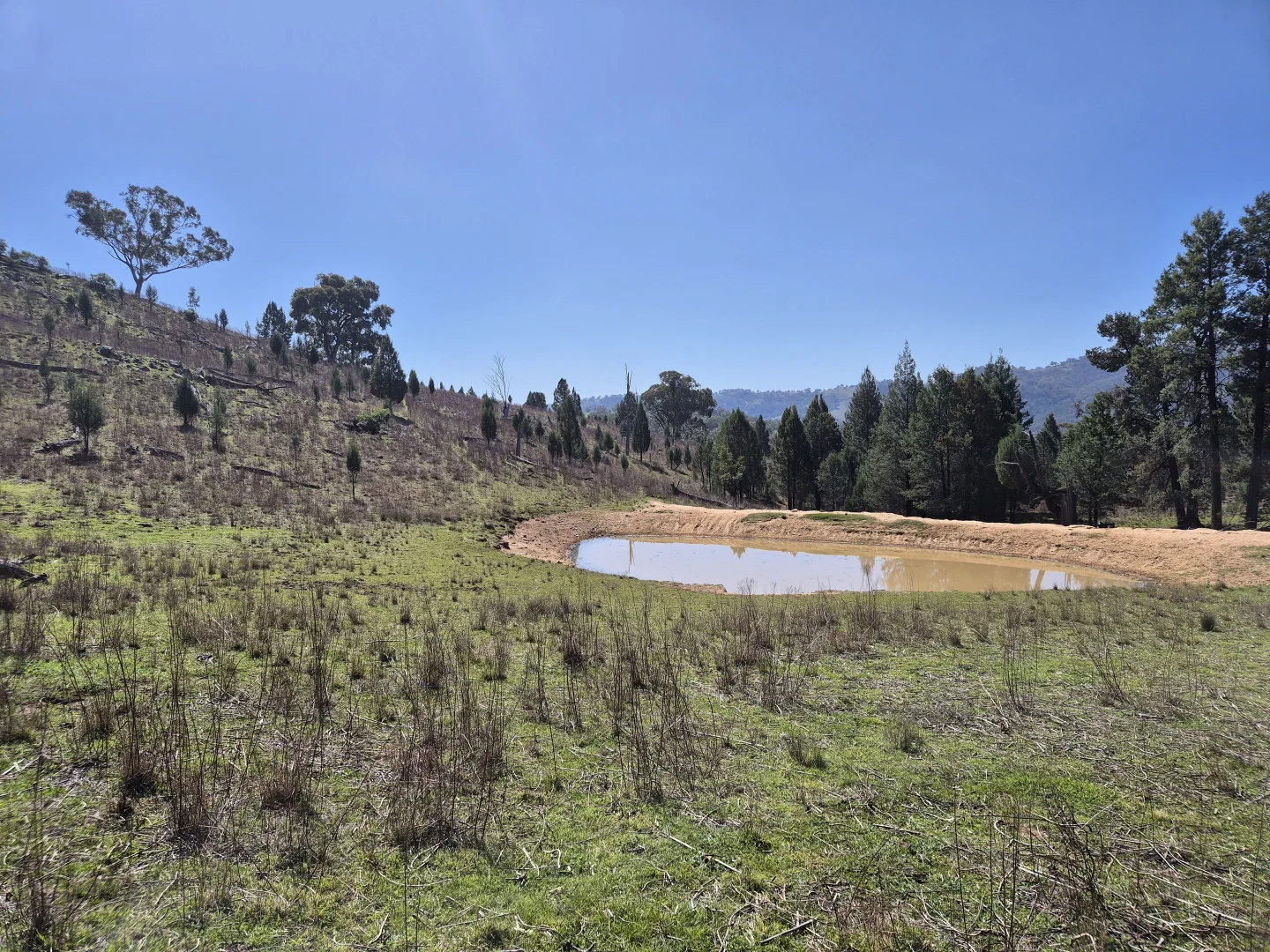 Additional image 15 of 46 Worlds End Rd, Yarrabin NSW 2850