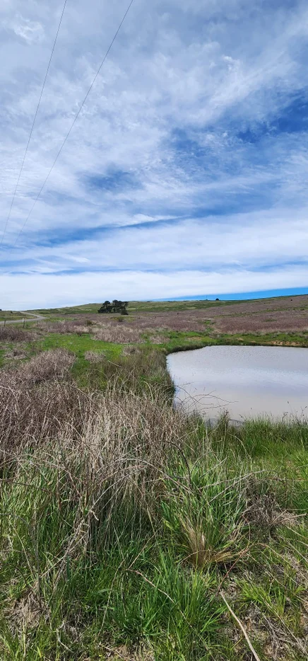 Additional image 5 of Lot 2, 175 Pomeroy Mill Ford Rd, Mummel NSW 2580