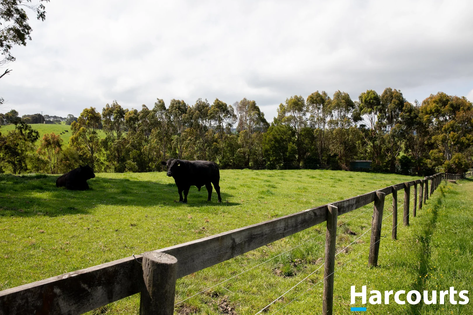 Additional image 7 of 715 Falls Road, Fish Creek VIC 3959