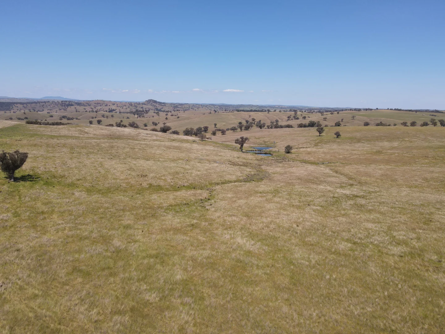 Additional image 3 of 250 Emu Creek Road, Canowindra NSW 2804
