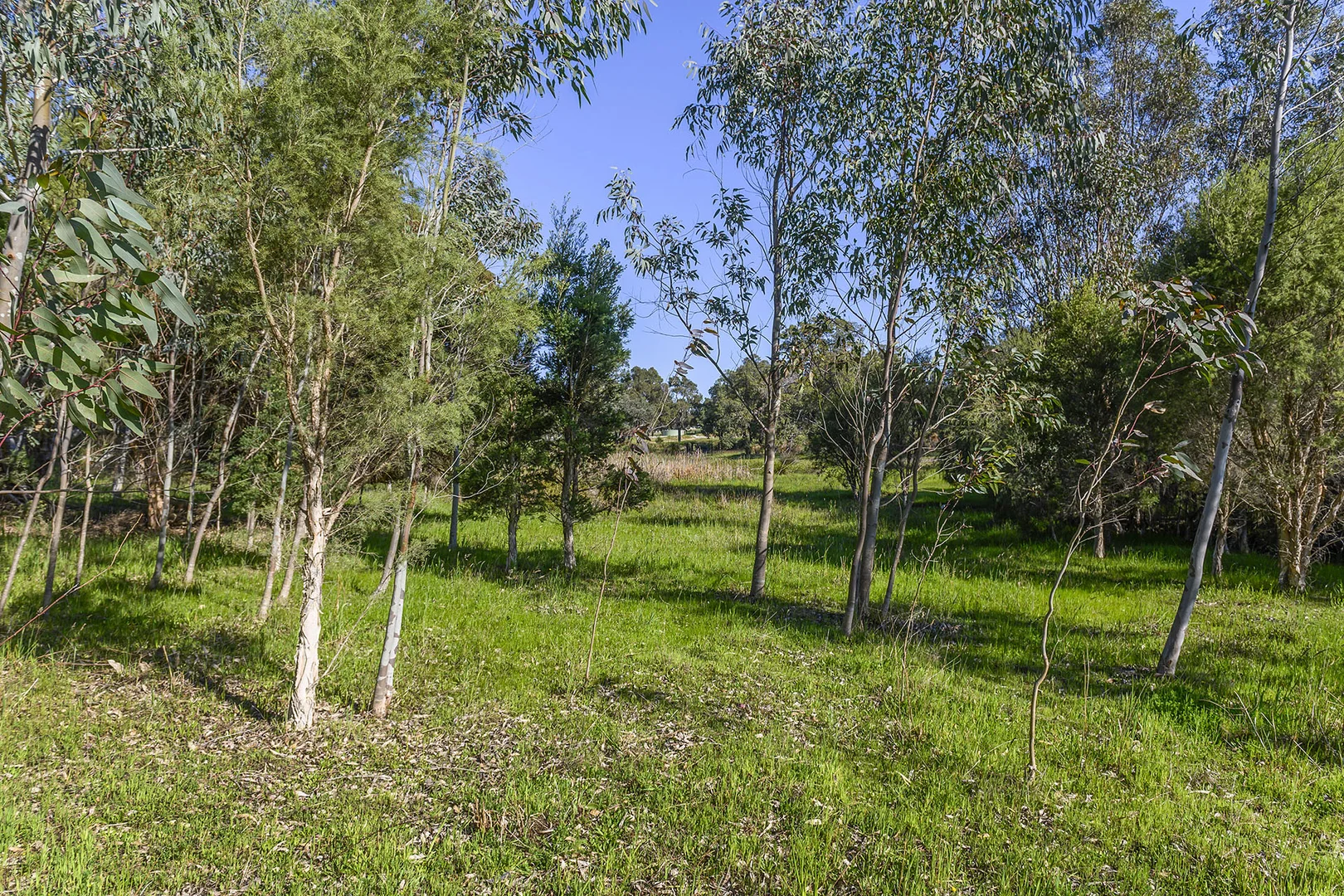 Additional image 21 of Guernsey Rise, Lower Chittering WA 6084