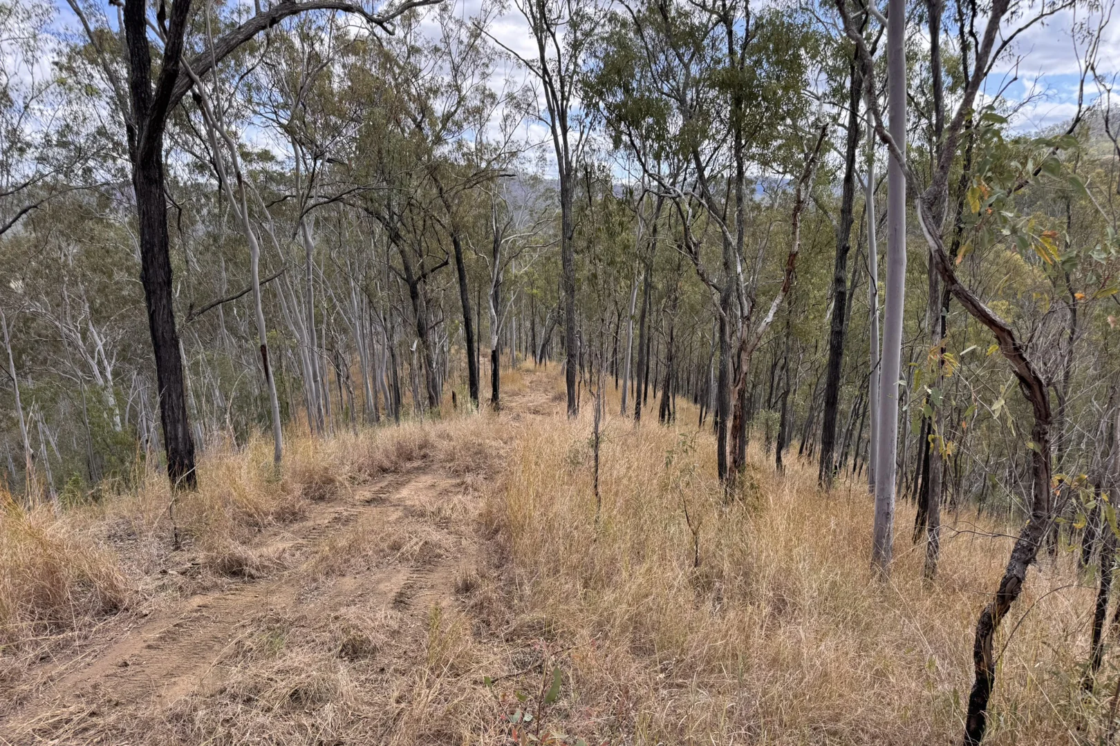 Additional image 18 of "Jalna" 266 Childs Road, Boyne Valley QLD 4680