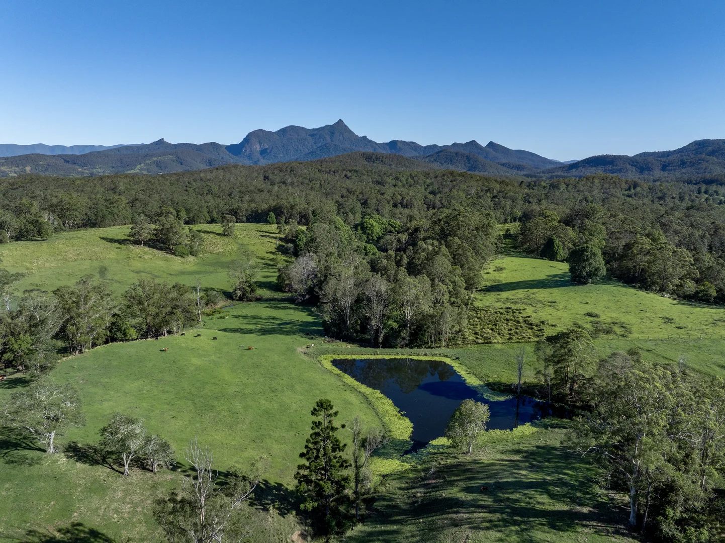 Additional image 22 of 148 Pine Log Road, Doon Doon NSW 2484