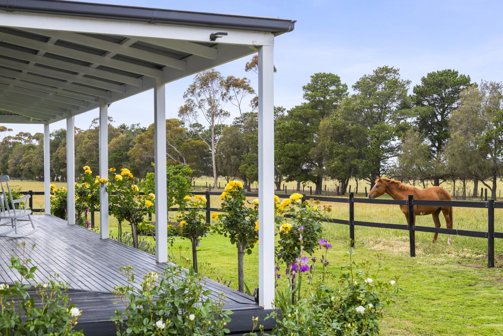 Additional image 13 of 2249 Midland Highway, Bannockburn VIC 3331