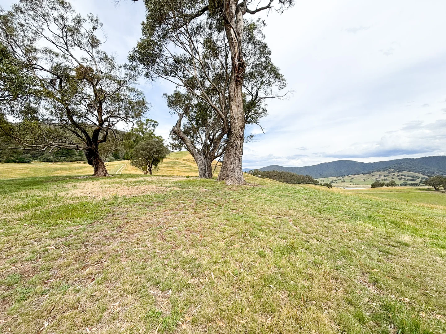 Additional image 2 of 2096 Mansfield-Woods Point Road, Macs Cove VIC 3723