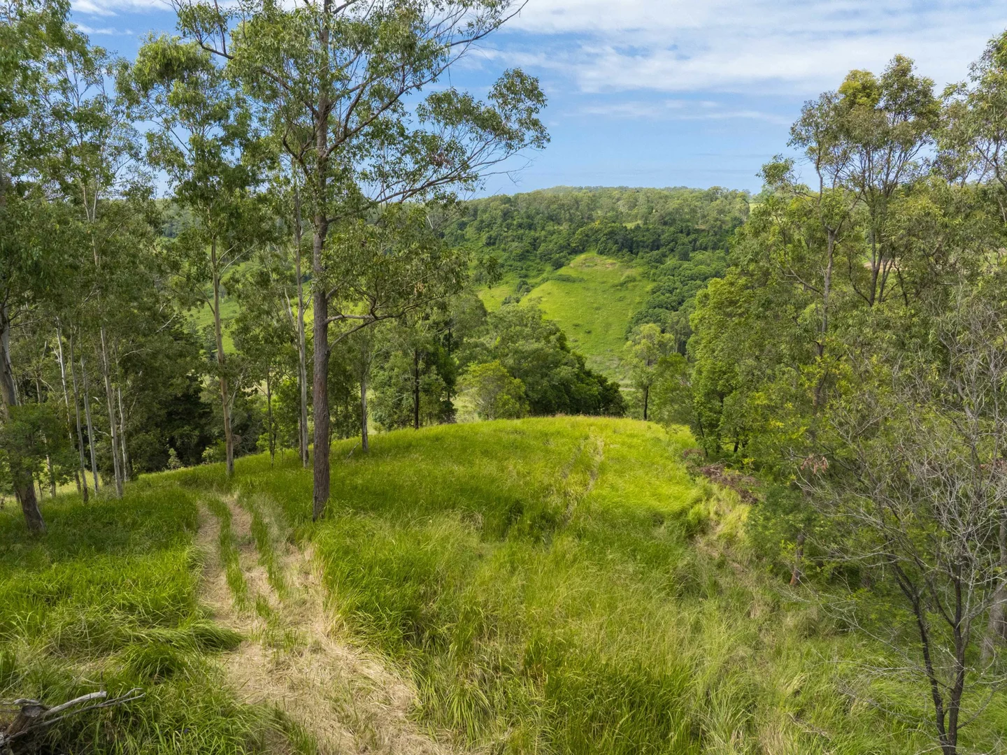 Additional image 23 of 138 Bice Road, Leycester NSW 2480