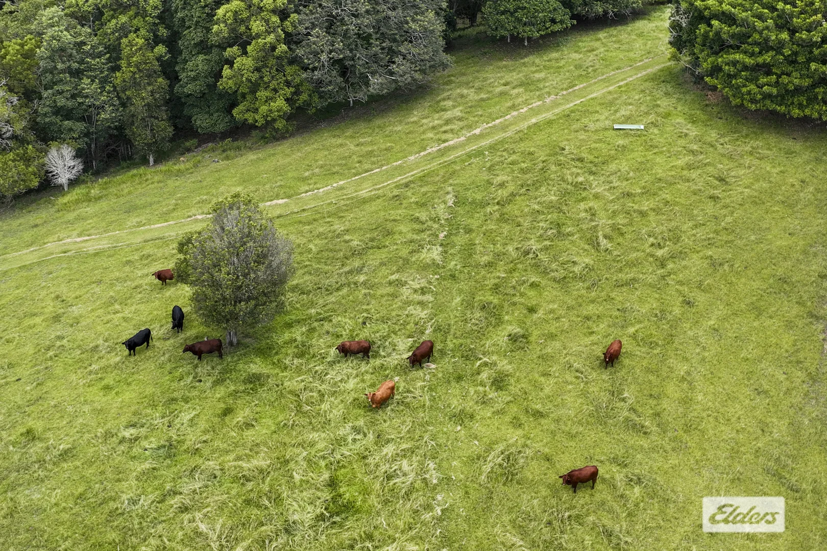 Additional image 29 of 354 Kunghur Creek Road, Kunghur Creek NSW 2484