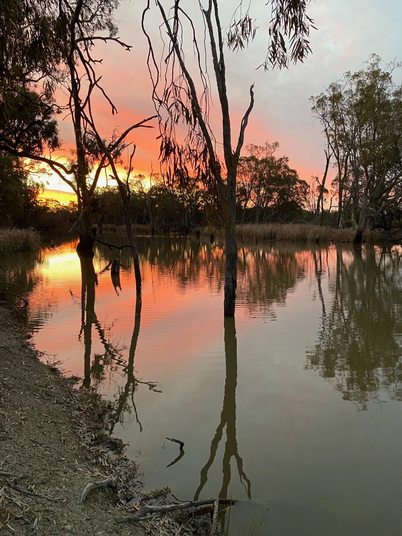 Additional image 55 of 'Wetuppa' 245 Fisher Lane, Wetuppa NSW 2734