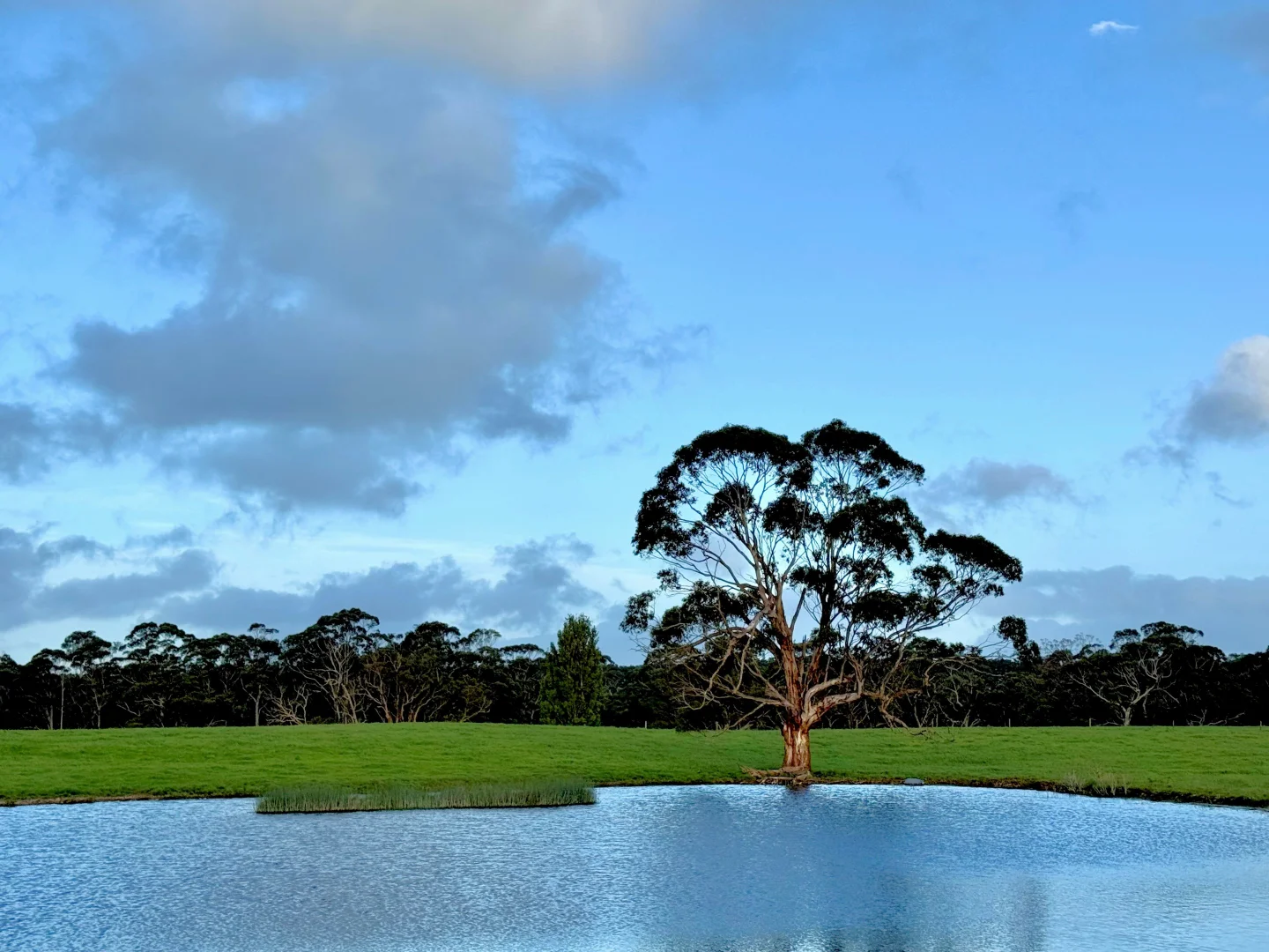Additional image 25 of 29 Cowens Lane, Nirranda East VIC 3268