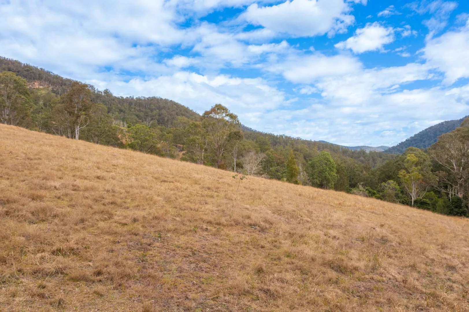 Additional image 17 of Lot 24 209 Tobins River Road, Mount Seaview NSW 2446