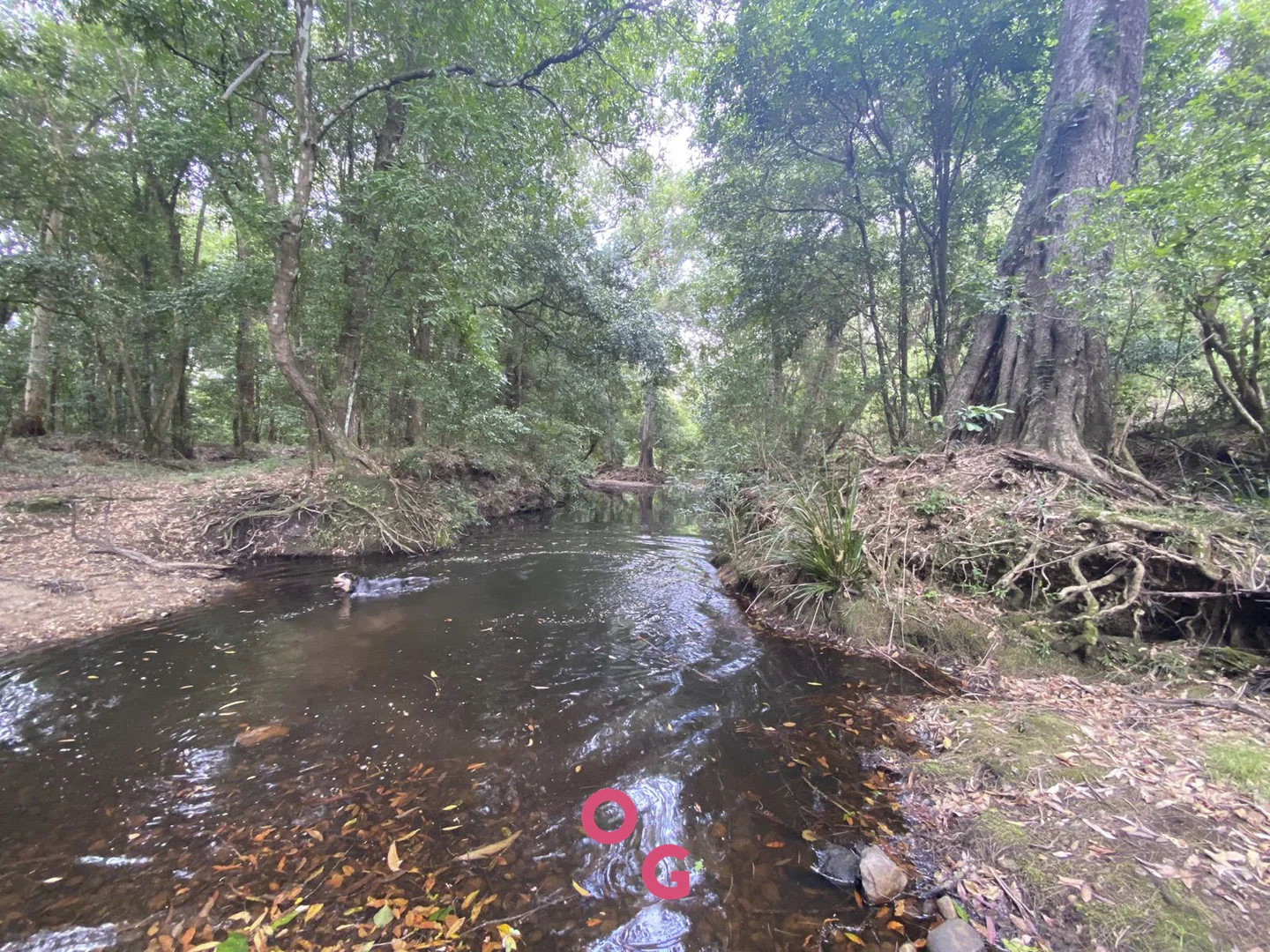 Additional image 26 of 136 Limeburners Creek Road, Limeburners Creek NSW 2324