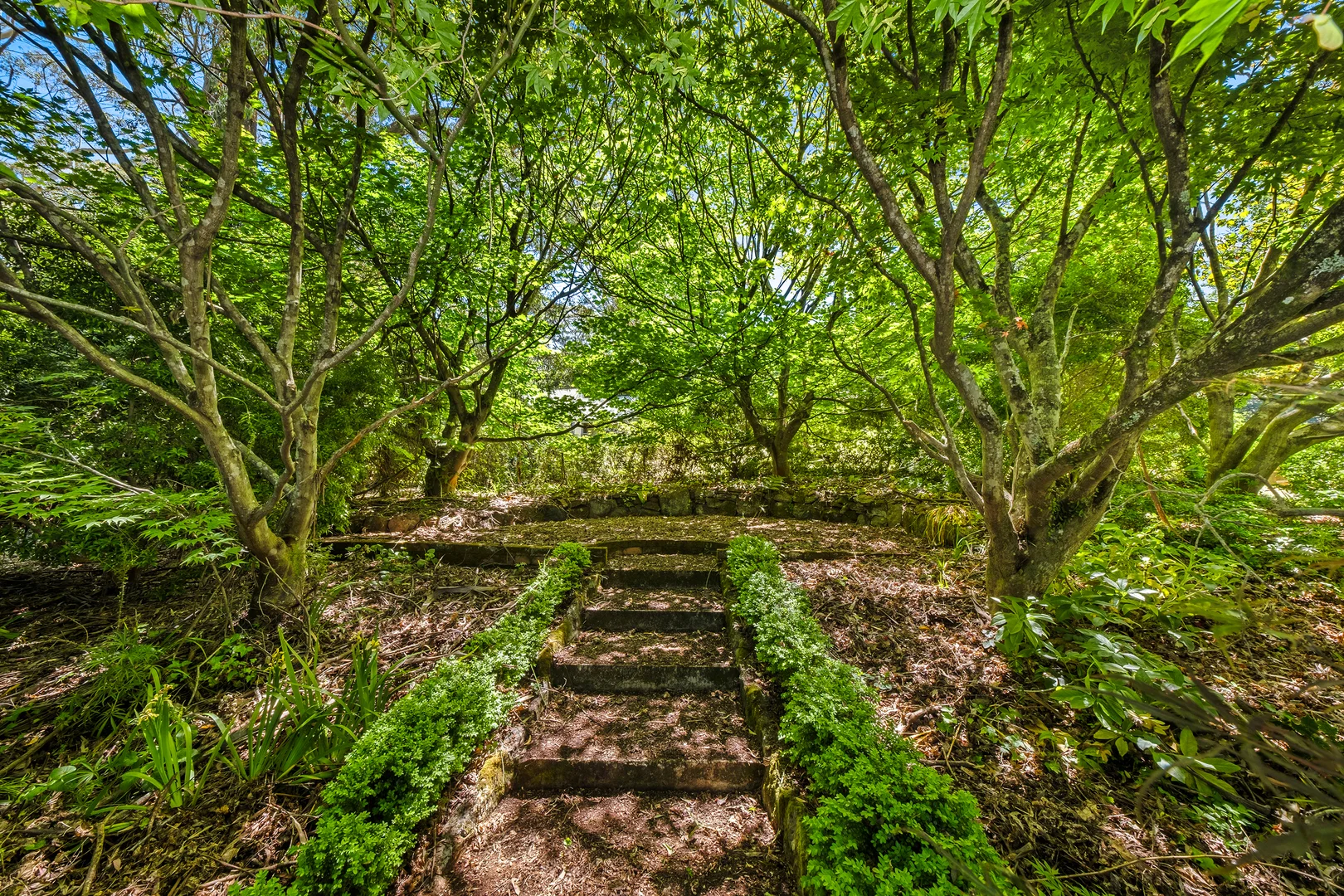 Additional image 29 of 225 Mount Irvine Road, Mount Irvine NSW 2786