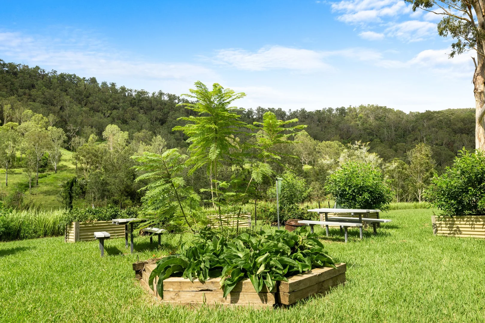 Additional image 17 of 154 Sawpit Creek Road, Findon Creek NSW 2474