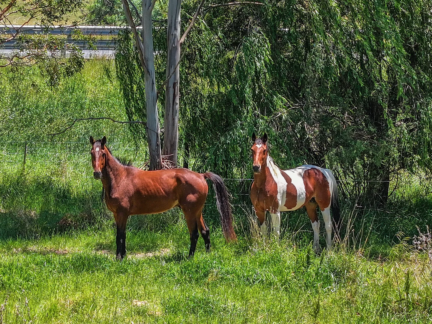 Additional image 15 of 5675 Mid Western Highway, Carcoar NSW 2791