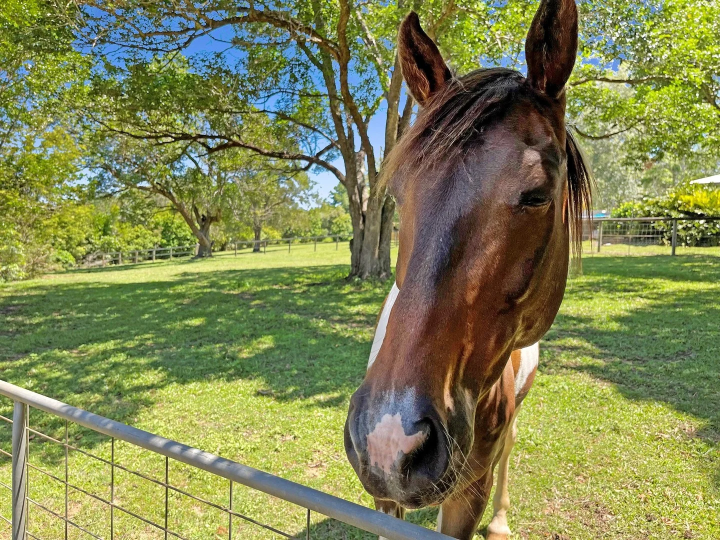 Additional image 17 of 378 Chevallum Road, Chevallum QLD 4555