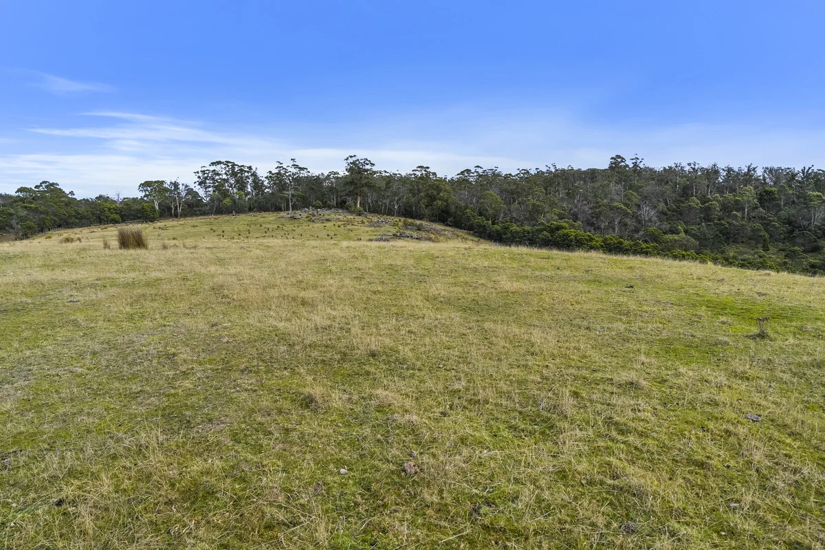 Additional image 8 of 1 & 2 Bresnehans Road, Little Swanport TAS 7190