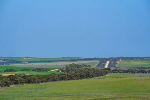 Additional image 7 of 542 Haby & 832 Bolt Road, Nildottie SA 5238