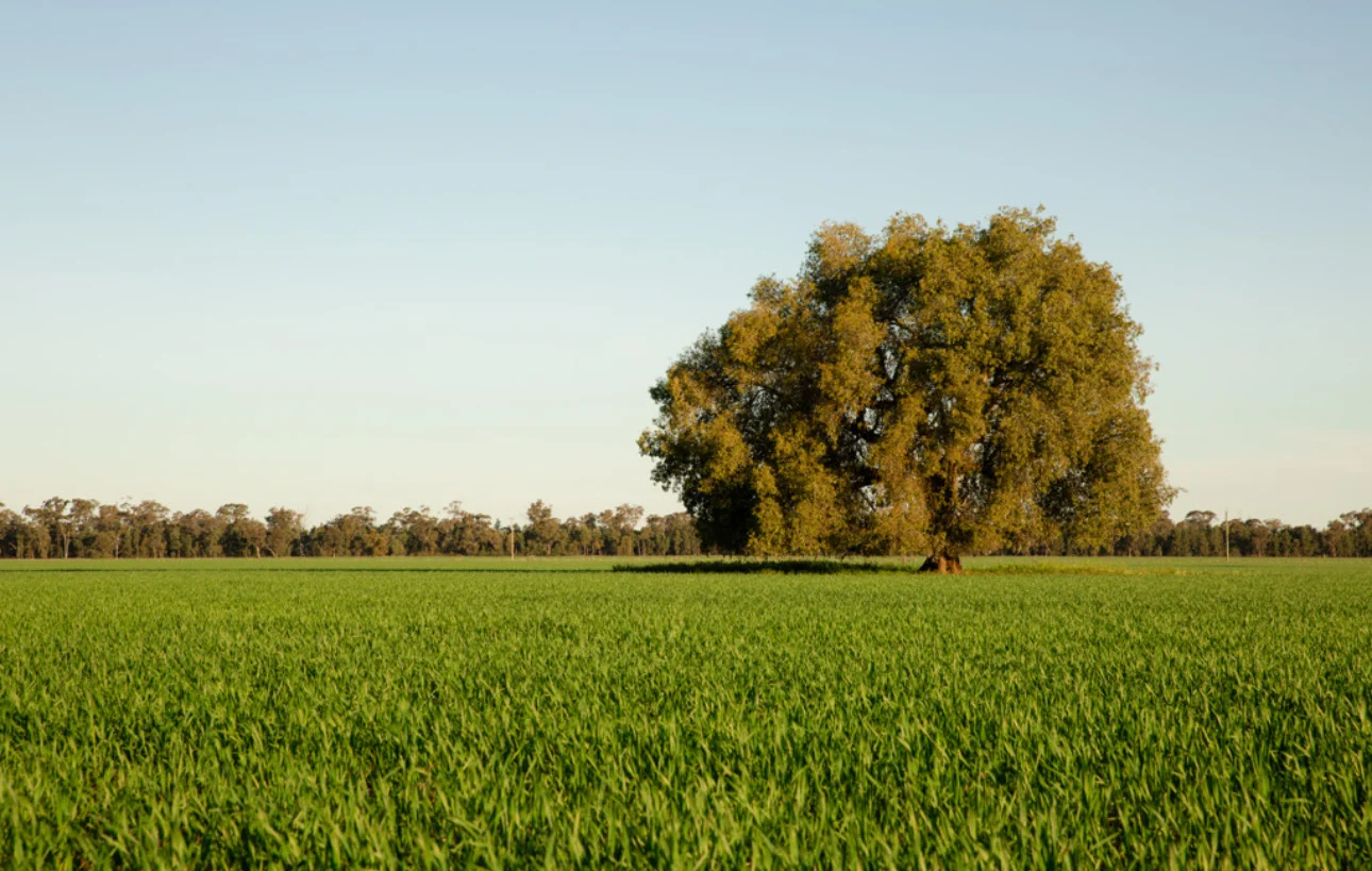 . NEWHAVEN, Burcher NSW 2671 photo 4