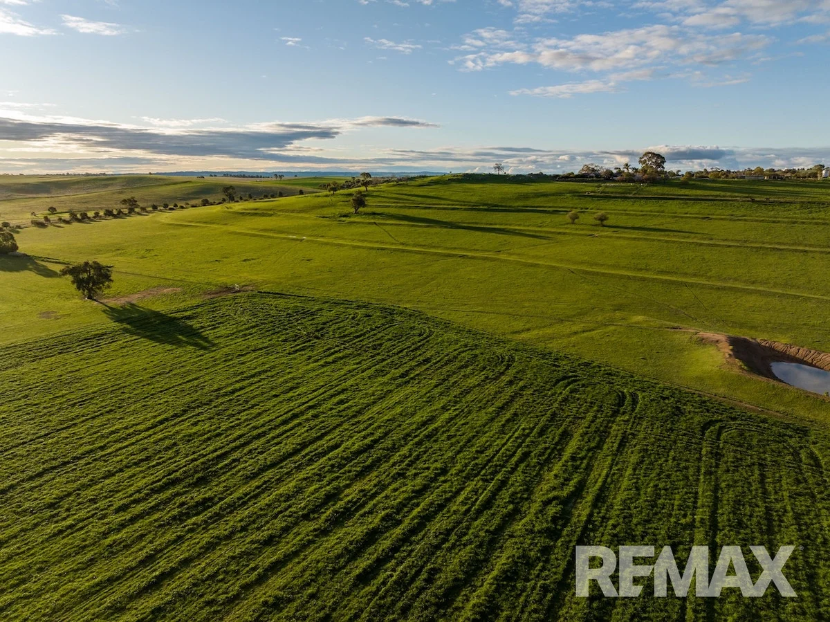 Additional image 4 of 880 Pattersons Road, Harefield NSW 2650