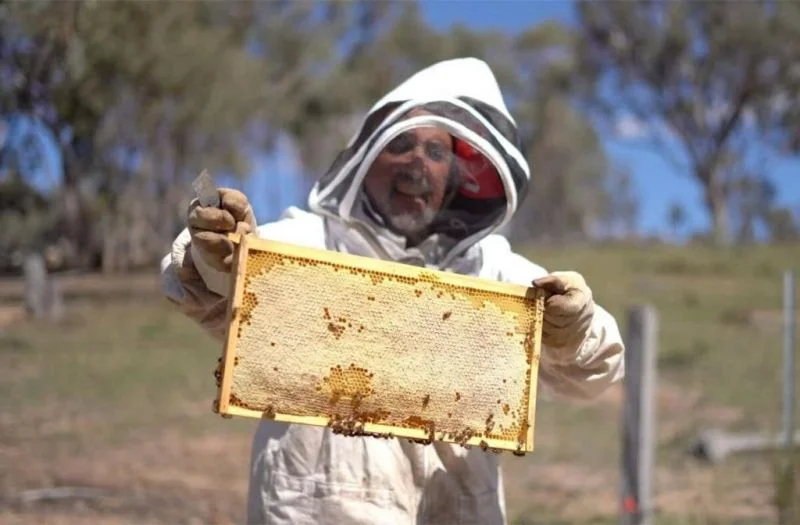 Additional image 25 of 594 Pyramul Road, Windeyer NSW 2850