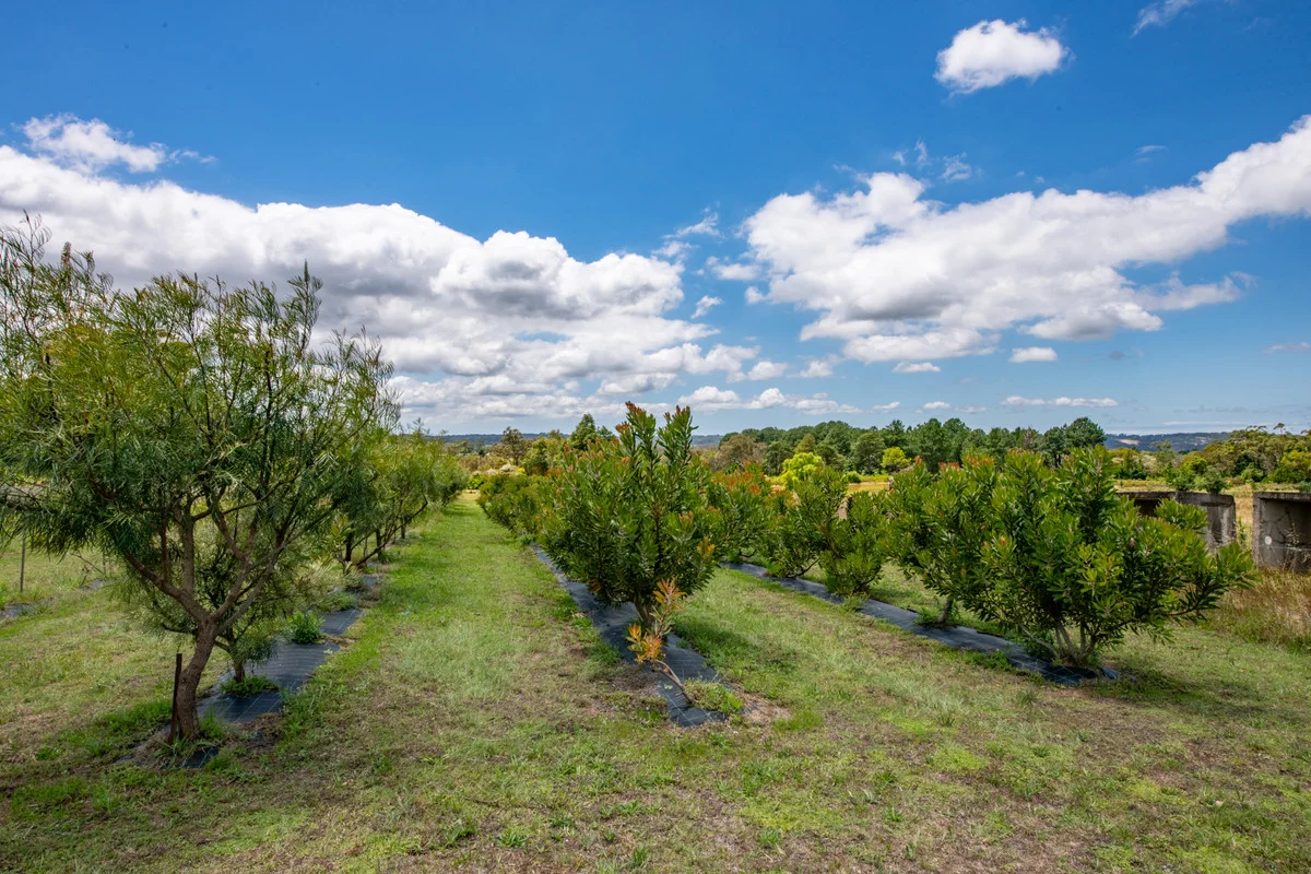 Additional image 32 of 1583 Peats Ridge Road, Peats Ridge NSW 2250