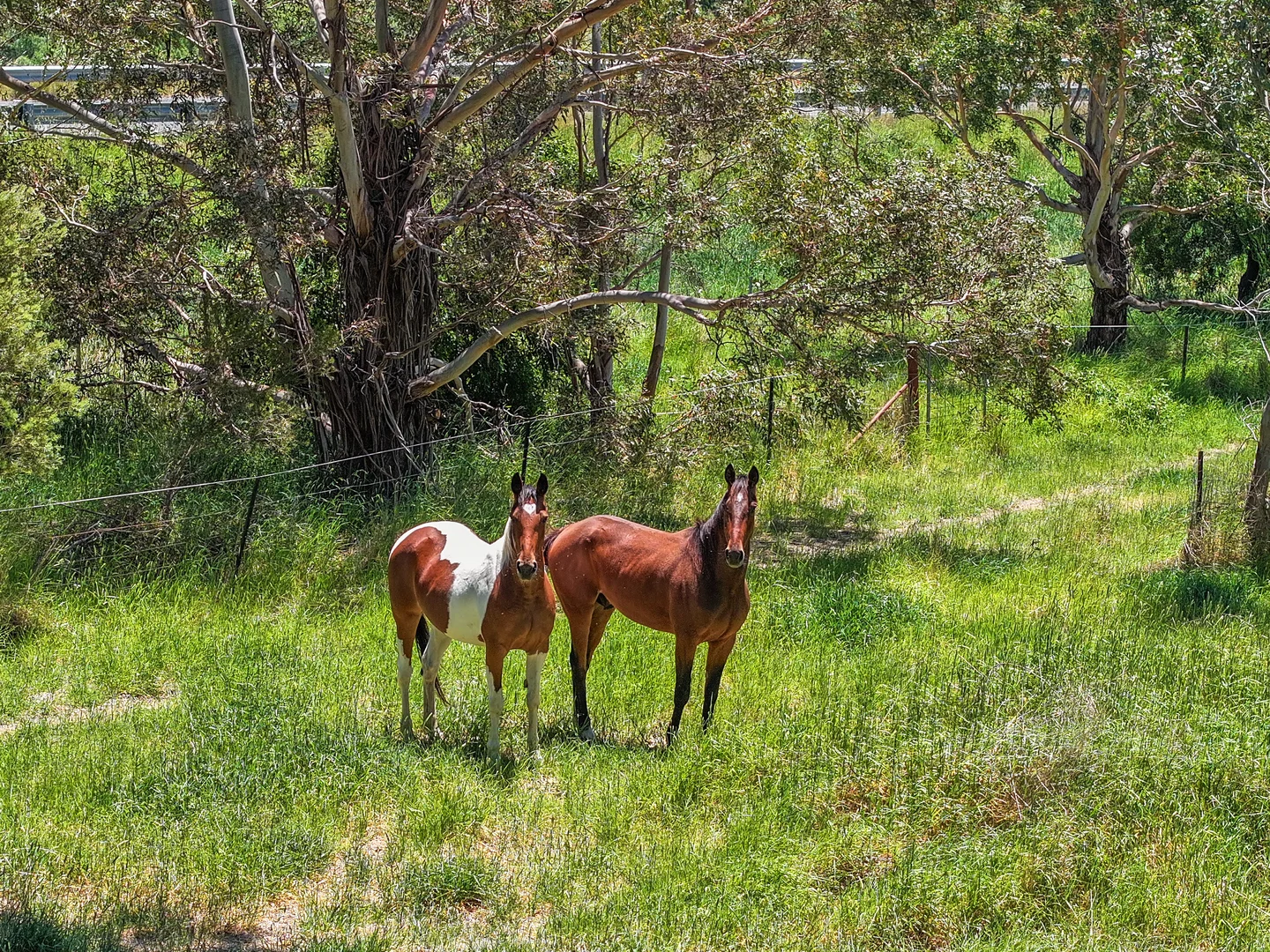 Additional image 18 of 5675 Mid Western Highway, Carcoar NSW 2791