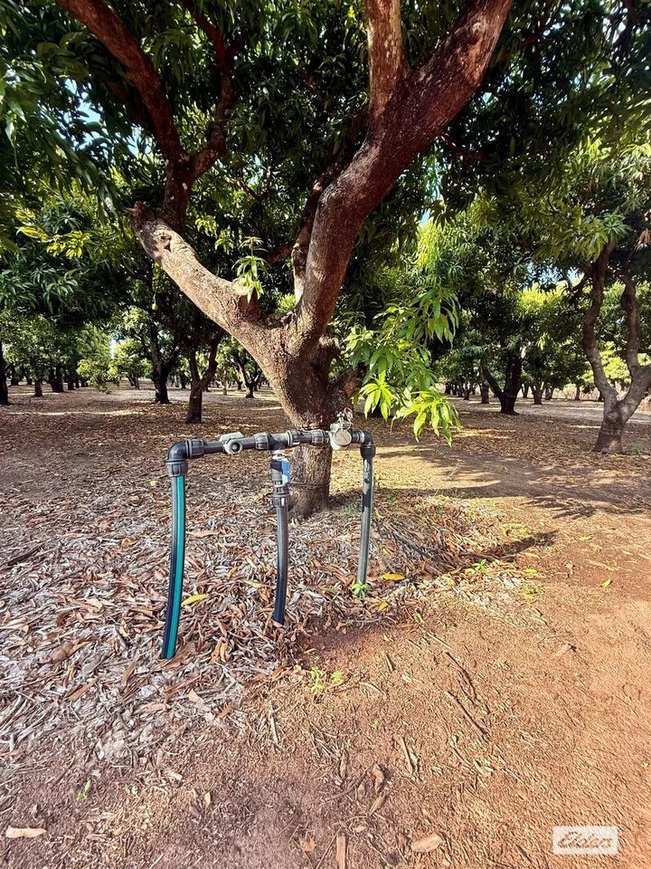 Additional image 15 of 80 & 100 Russ Road, Tumbling Waters NT 0822