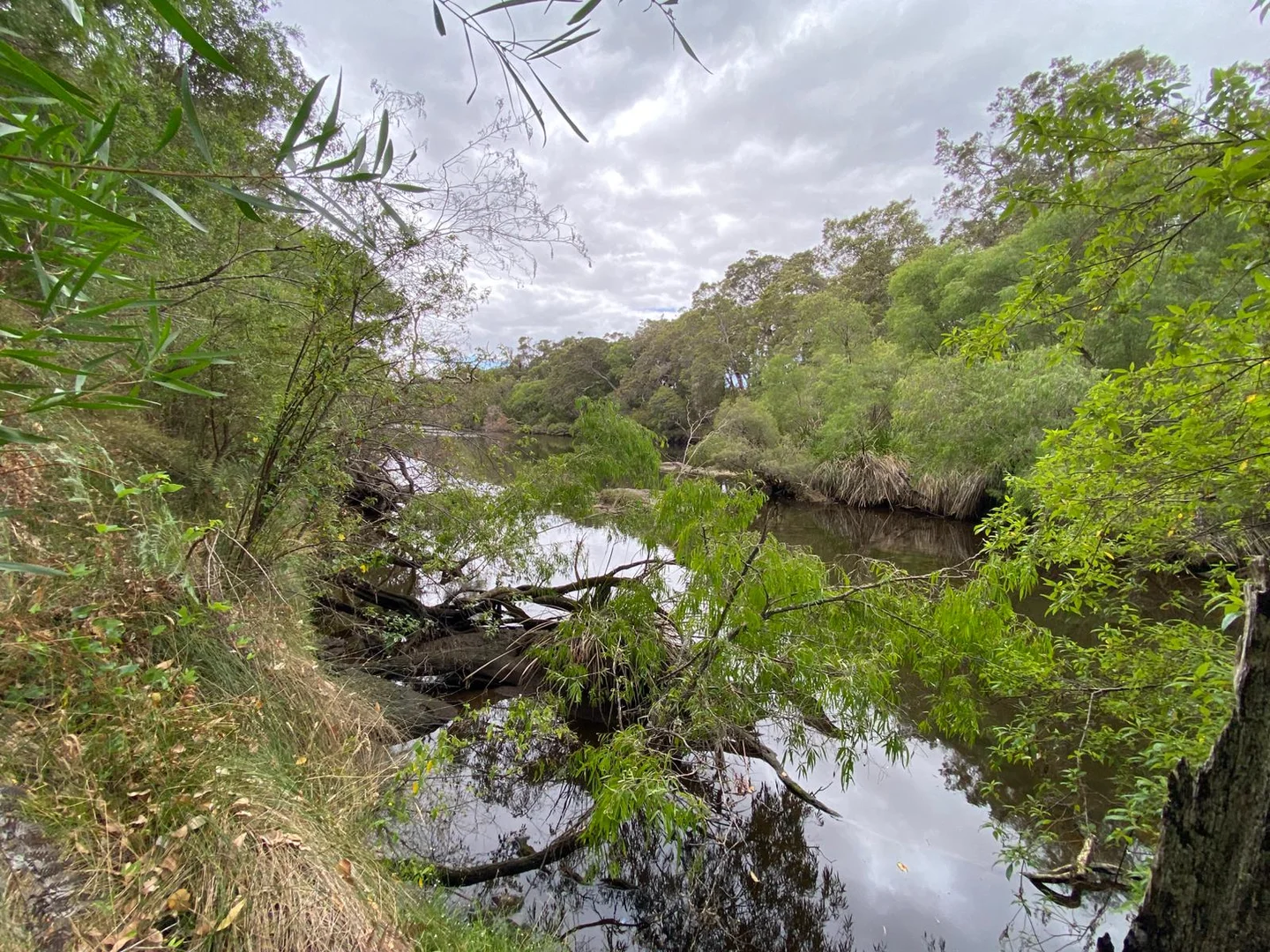 Additional image 2 of 45647 South Coast Highway, Kalgan WA 6330