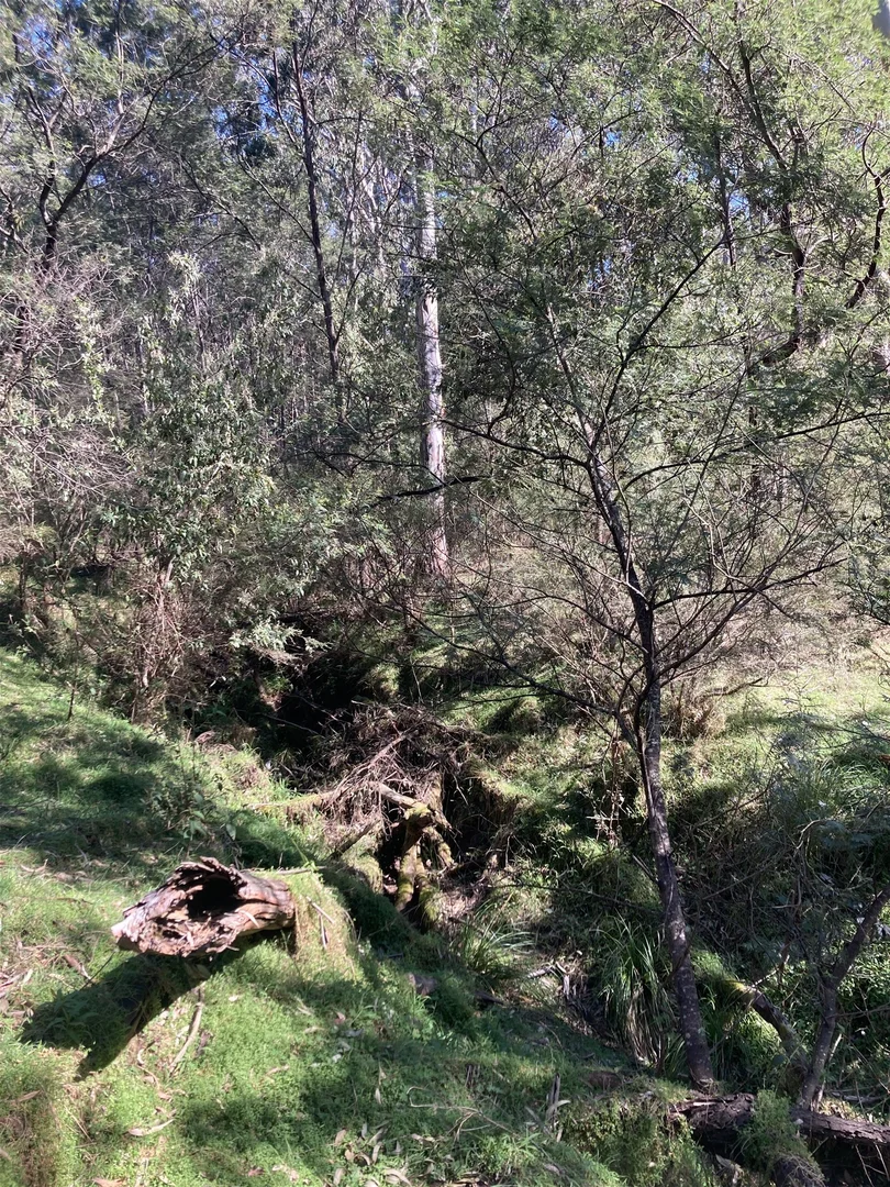 Additional image 24 of 138 Elliot Road, Valencia Creek VIC 3860