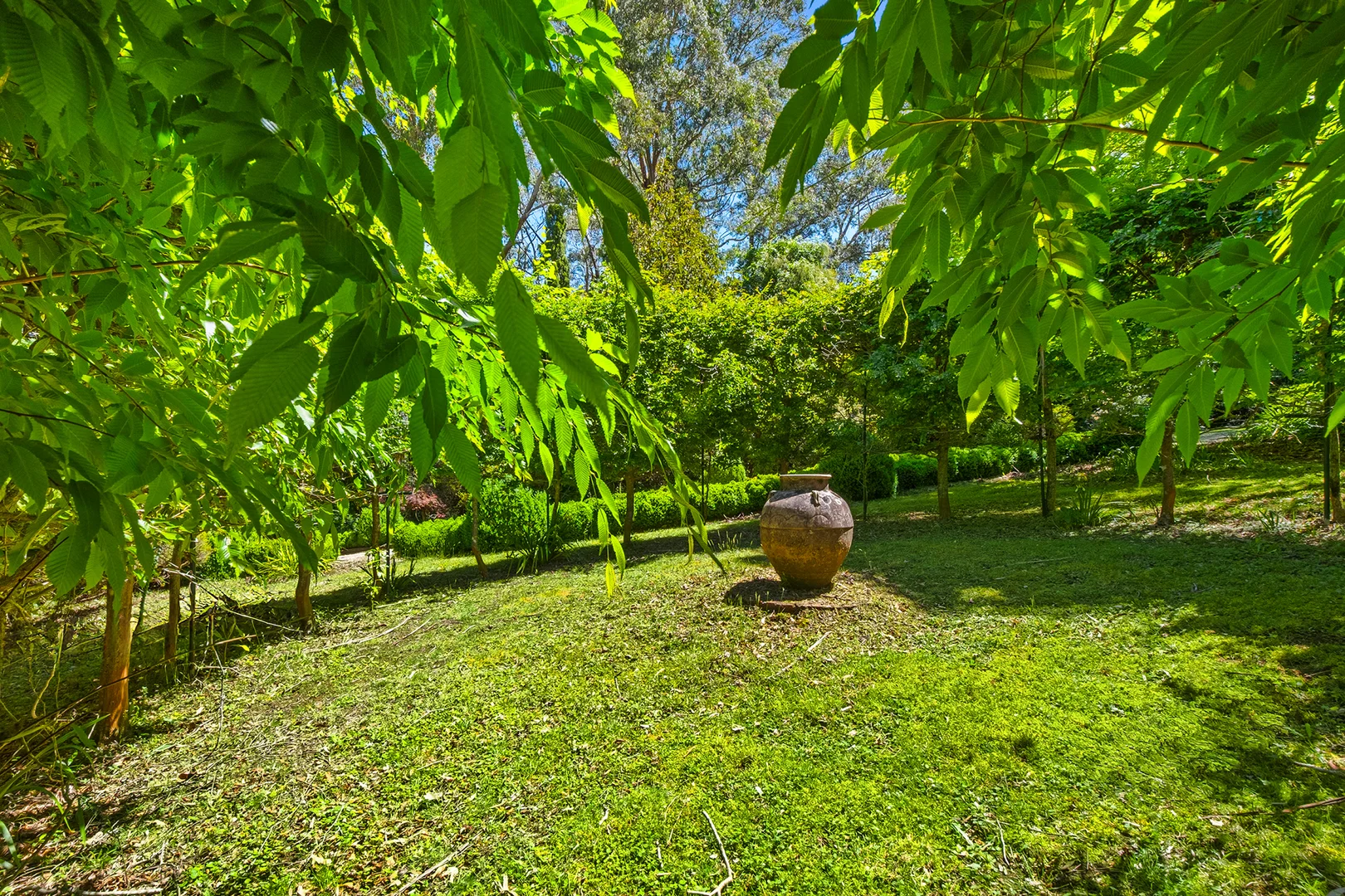 Additional image 31 of 225 Mount Irvine Road, Mount Irvine NSW 2786