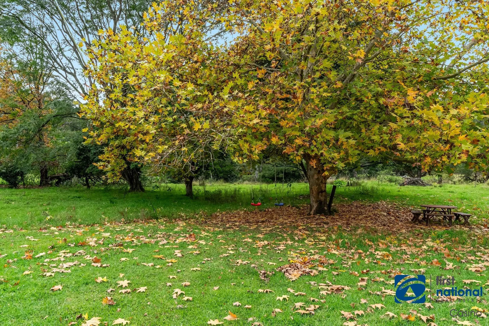 Additional image 30 of 1212 Beaury Creek Road, Urbenville NSW 2475