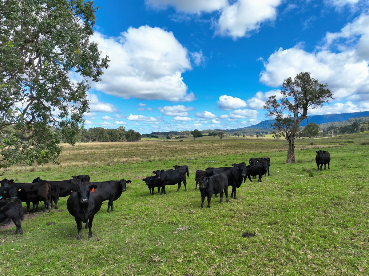 Additional image 24 of 15675 Clarence Way, Bean Creek NSW 2469