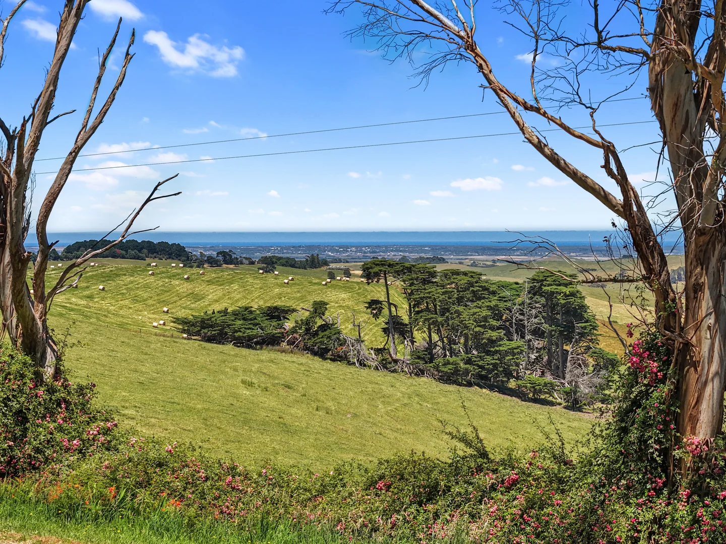 Additional image 2 of 1096 Glen Alvie Road, Glen Alvie VIC 3979