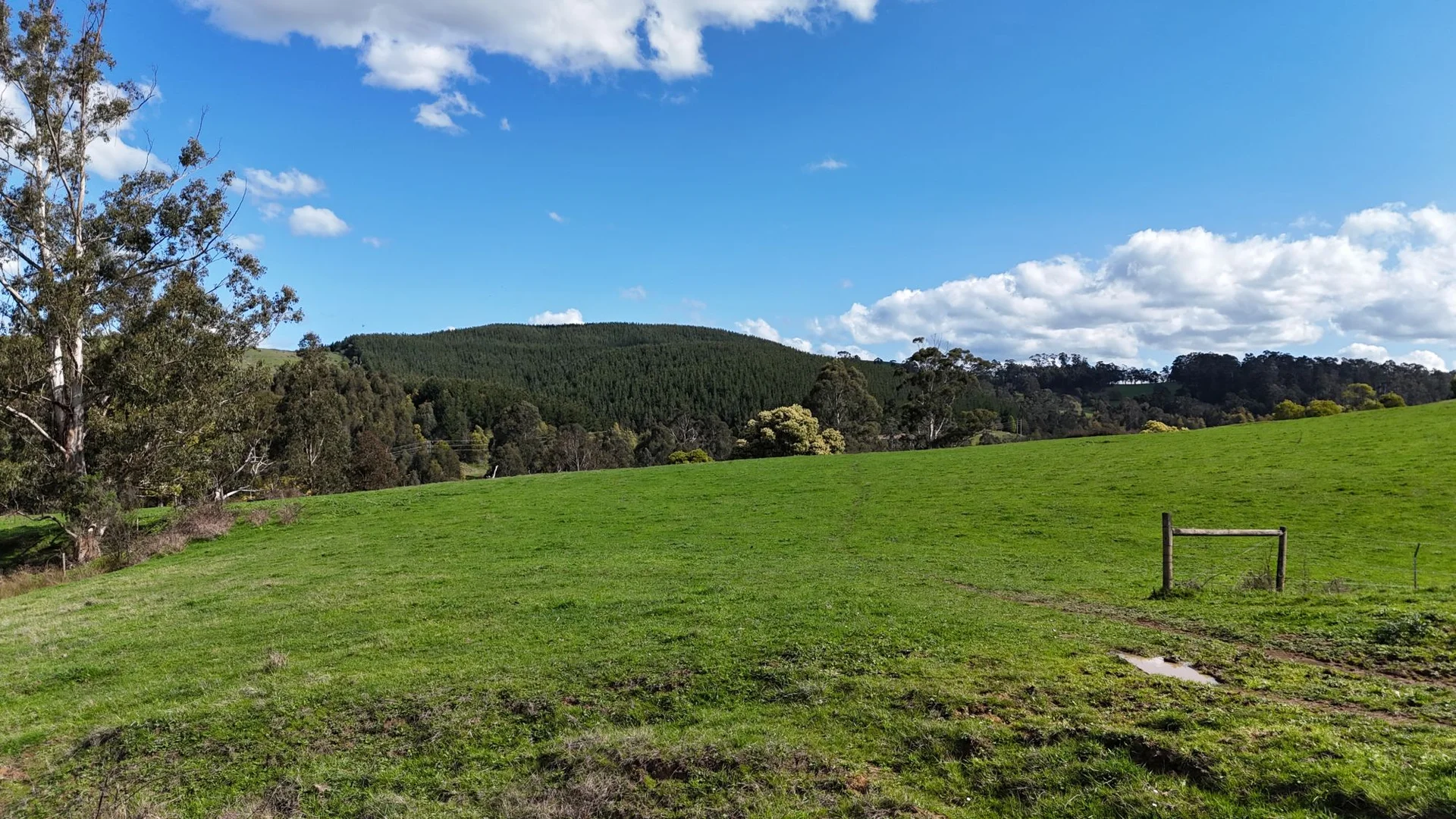 Additional image 24 of 141 BUNDERRA DRIVE, Boolarra VIC 3870