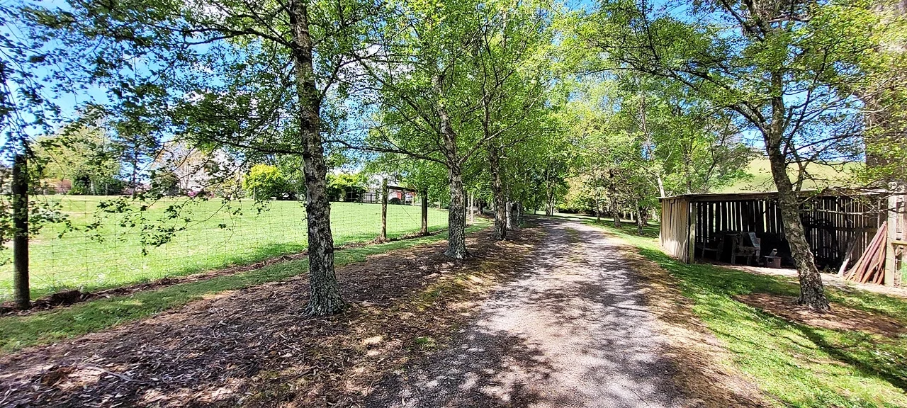 Additional image 31 of 174 Fabers Road, Riana TAS 7316