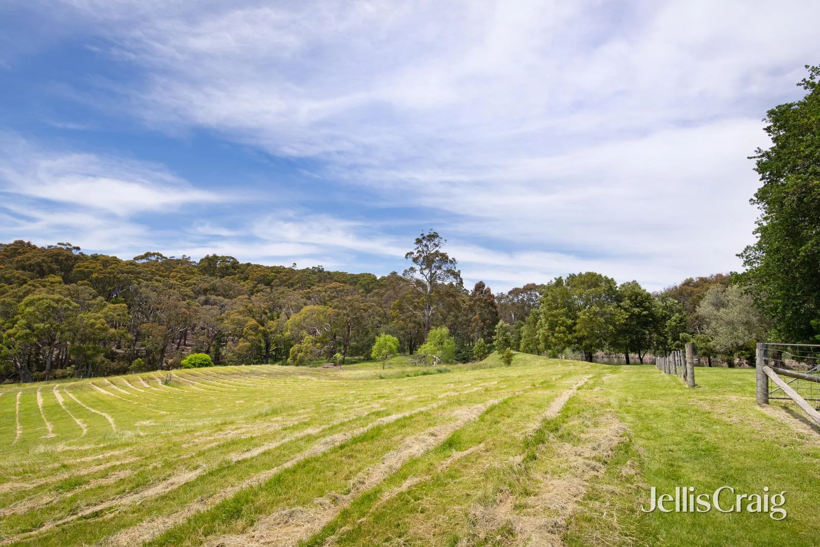 Additional image 29 of 84 Morgantis Road, Eganstown VIC 3461